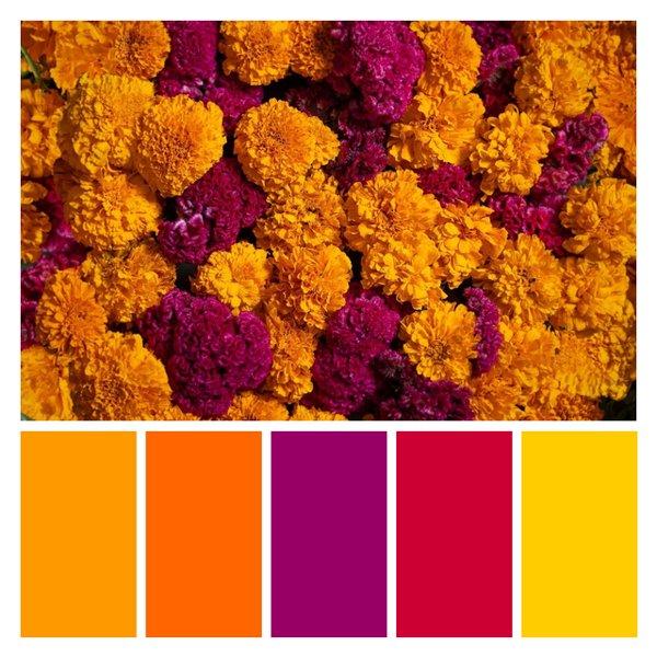 Marigold Magnificence
