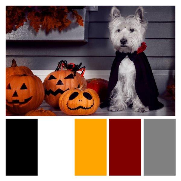 Spooky Sophistication