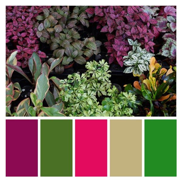 Tropical Foliage Fusion