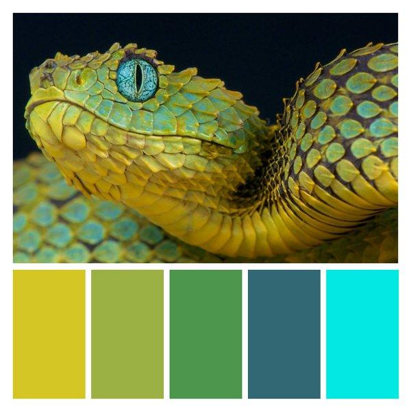 Venomous Viridescence