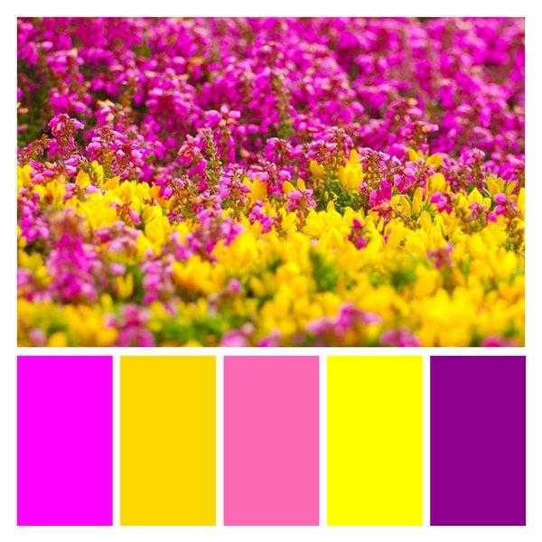 Vibrant Wildflower Meadow