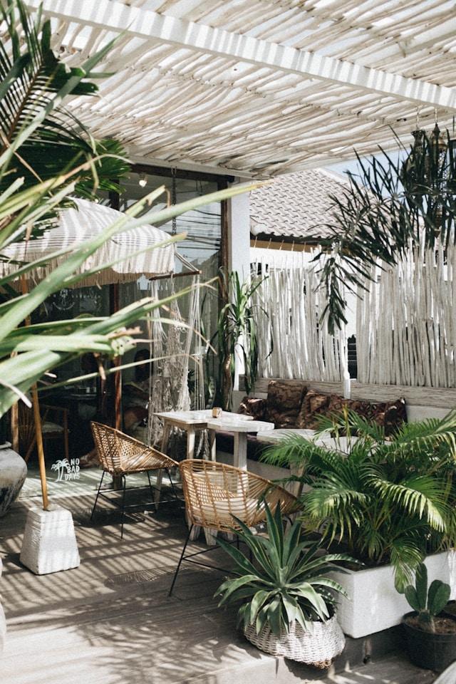 Biophilic Color Palettes: Nature's Hues in Urban Design