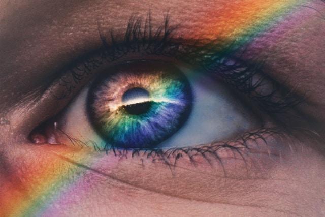 Neuroaesthetics and Color: The Brain's Perception of Beauty in Design