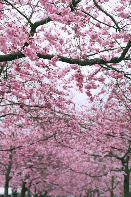 Seasonal Aromachromatics: The Sensory Fusion of Scents and Colors