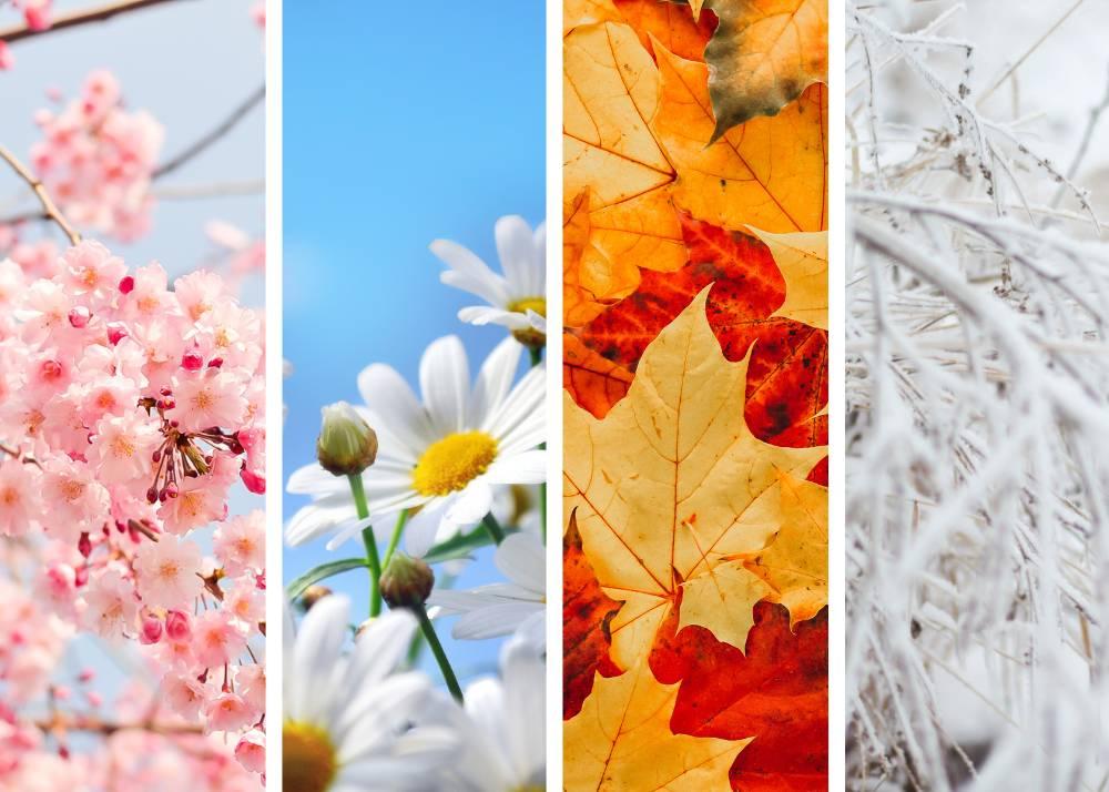 Seasonal Color Forecasting: The Art of Shaping Design Trends