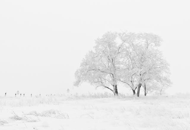 The Optical Illusion: Why is Snow White?